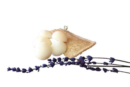 [CCL001] Lote Cocolú (Luffa + 6 jabones pequeños)