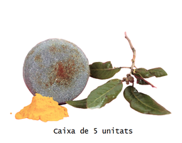 [FOR141] Caixa Ònix (5 u.)
